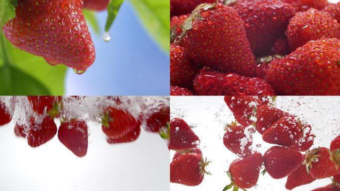 甜美的草莓季 新鲜诱人的草莓 水果