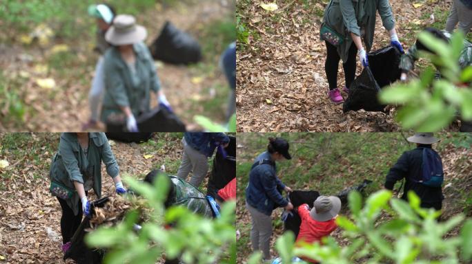 巡山、守山护林、护林员