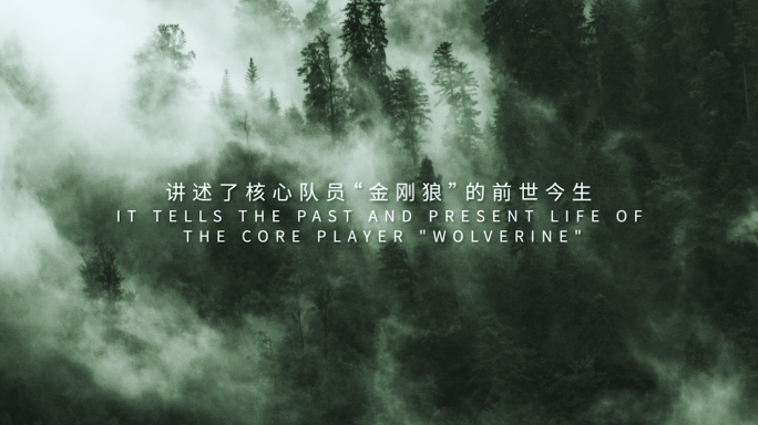 【无插件】高端电影级字幕