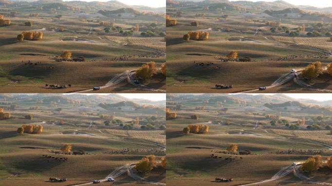 内蒙古乌兰布统秋天大草原迷人的风景