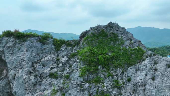 航拍茂盛草地废弃矿山4K