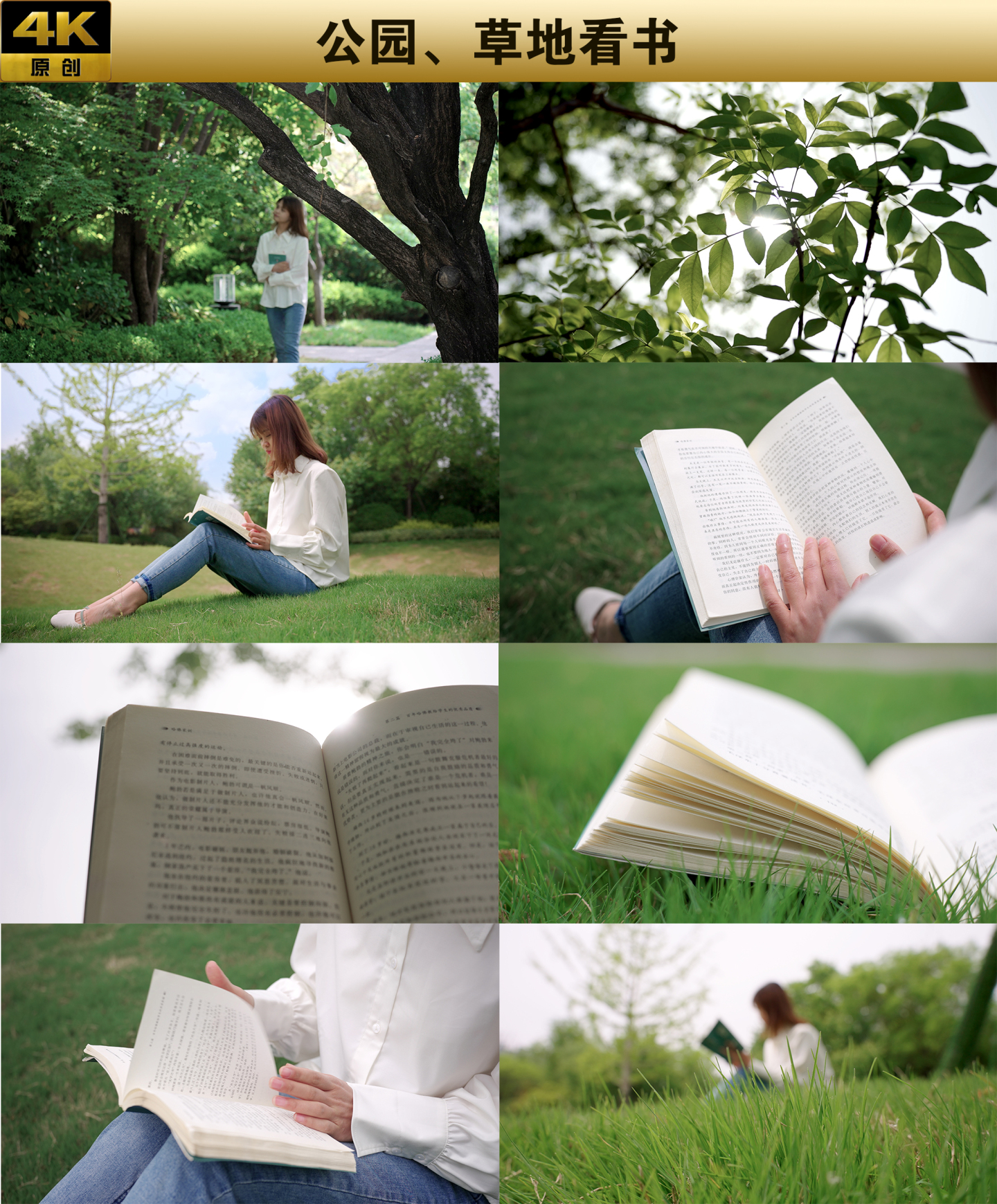 公园 草地看书 读书 阅读