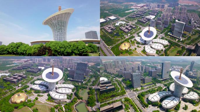 武汉未来科技城马蹄莲大喇叭