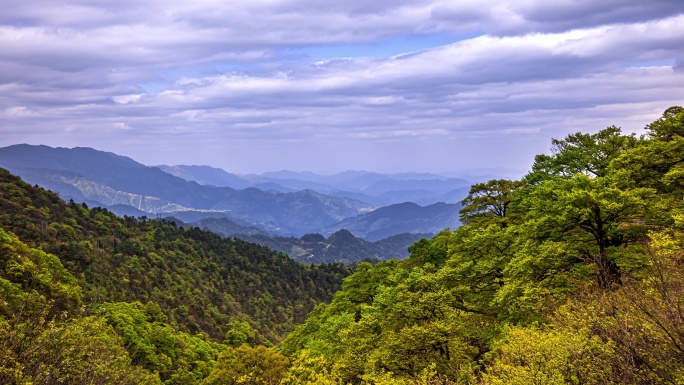 4k延时黔东南雷公山国家级自然保护区