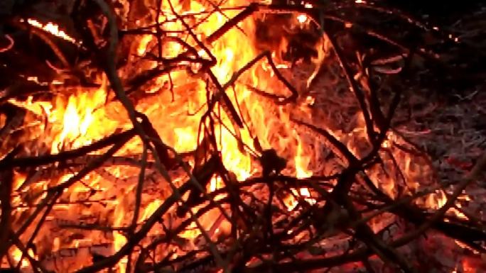 火焰高温火苗真实的大火燃烧的木柴火