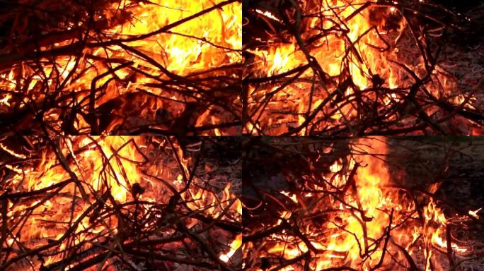火焰高温火苗真实的大火燃烧的木柴火