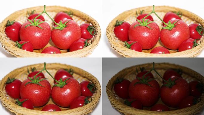 4K影棚拍摄西红柿
