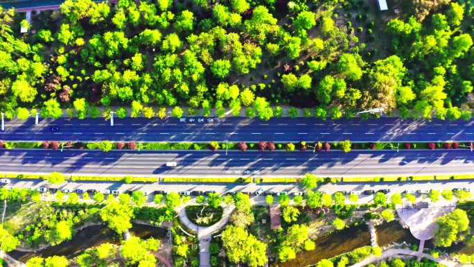 城市绿色大道 林荫大道  最美公路