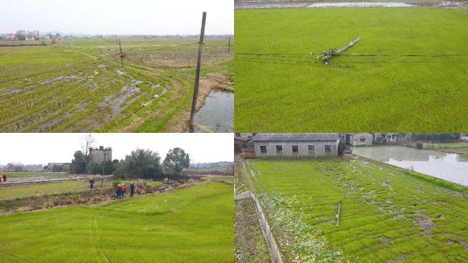 新农村建设通讯电网电杆规划修复