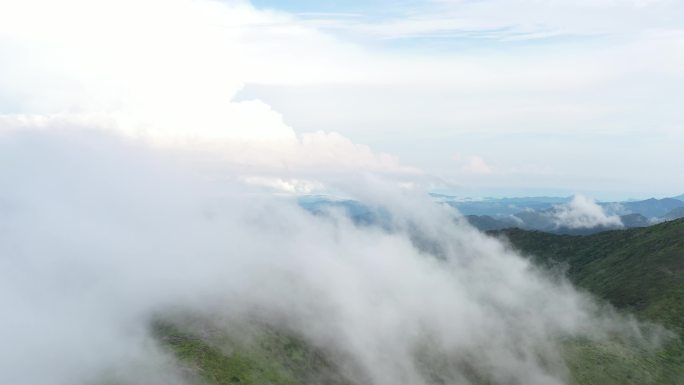 太姥山最高峰柘荣东狮山云海山林延时4K