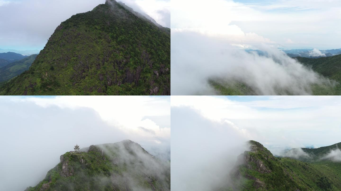 太姥山最高峰柘荣东狮山云海山林延时4K