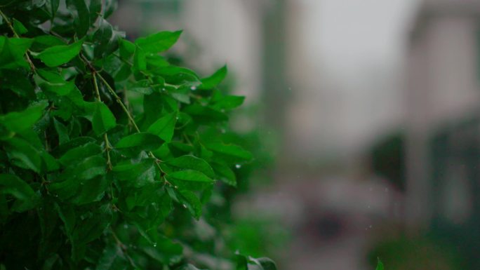 下雨雷雨大雨雨滴拍打地面