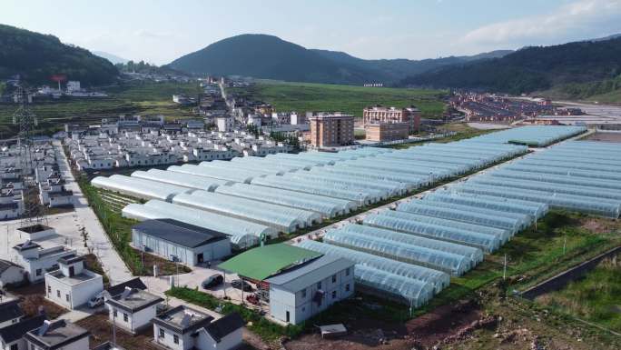 农业种植基地大棚蔬菜水果草莓蓝莓基地航拍