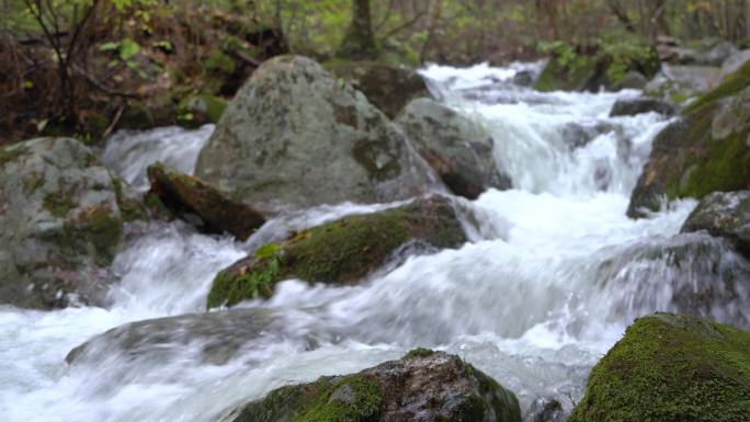 水源泉水溪水白酒小溪河流山泉水