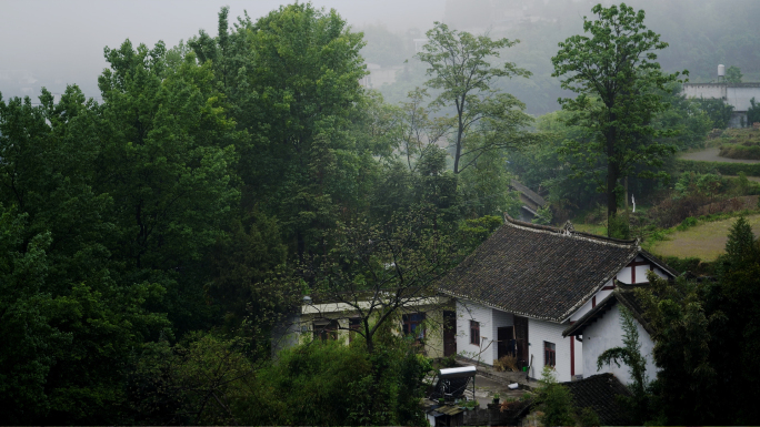 乡村雨后清晨山间晨雾雨滴露珠