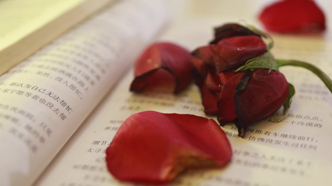 书本上的枯萎玫瑰