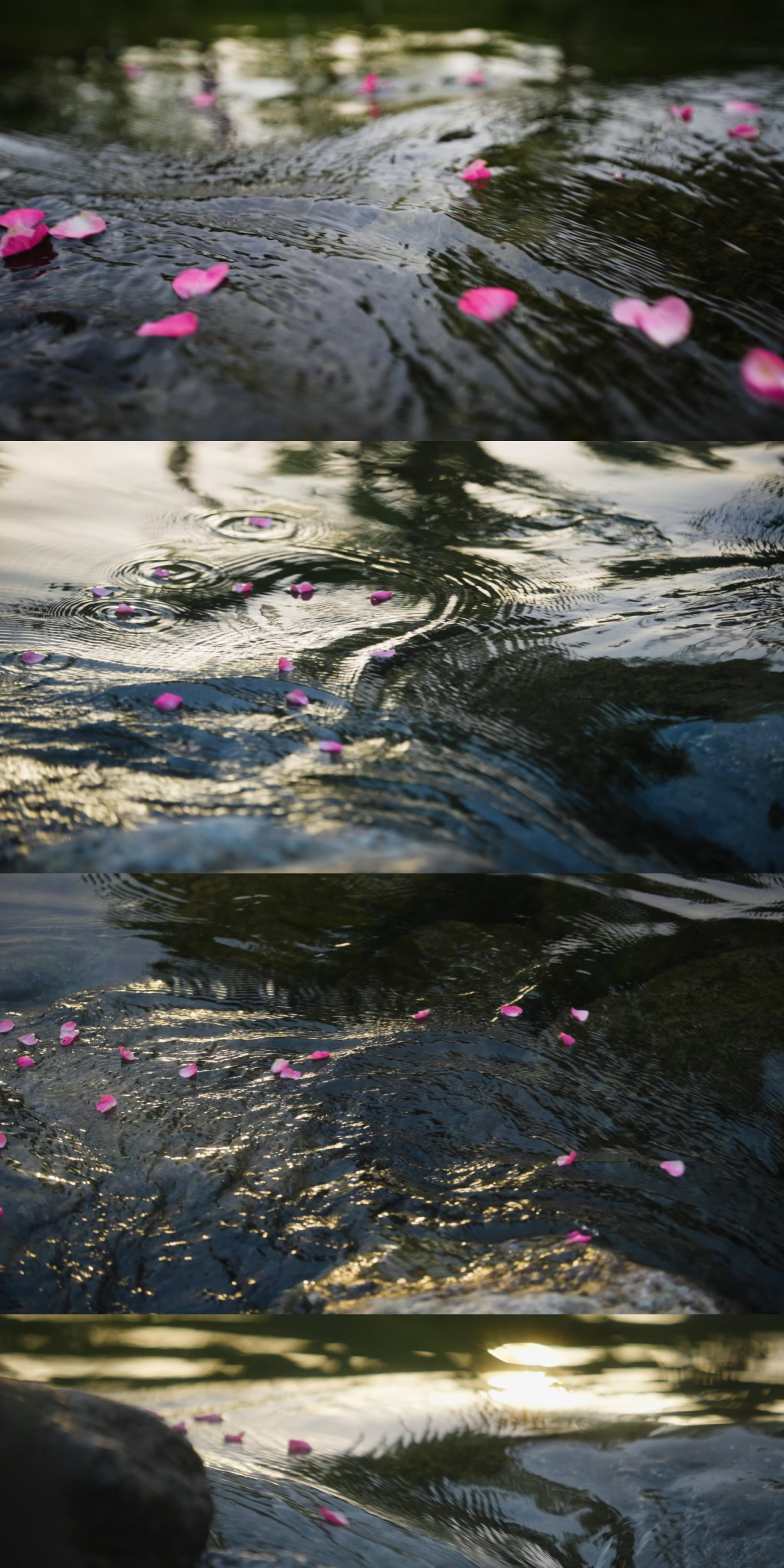 落花流水桃花流水诗意意境空镜头视频素材