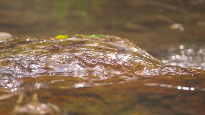 甘溪沟 小溪 水流 岩石 植被A004