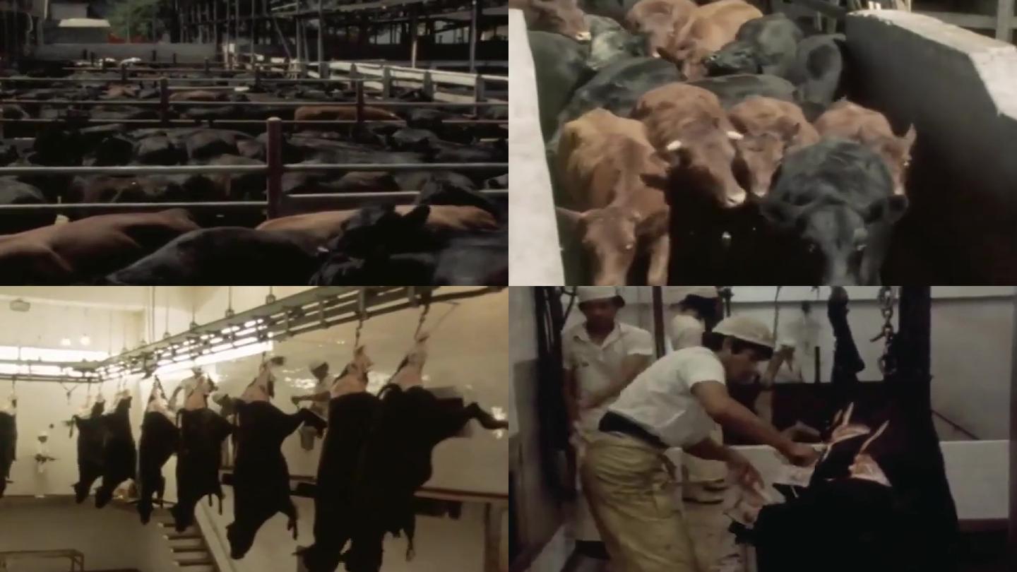 70年代牛肉加工厂