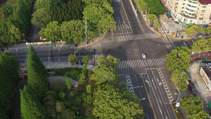 【4K】上海空旷街道疫情运输车辆