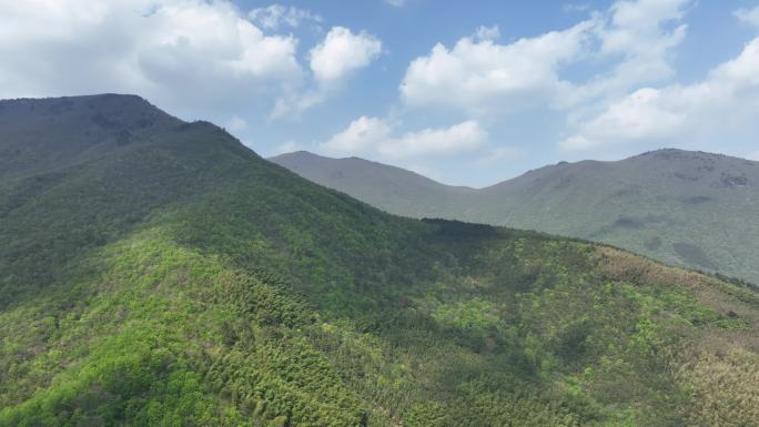 浙江天目山自然风光