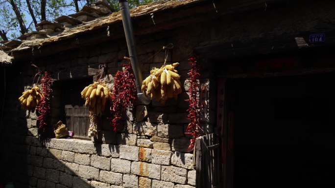 农村老屋门前挂的辣椒和玉米