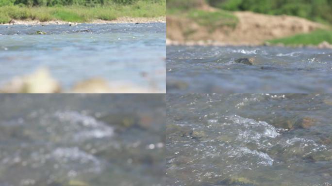 小河边 水流 石头 蜻蜓A004