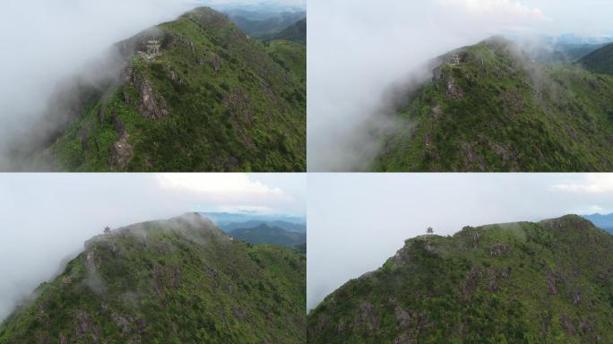 太姥山最高峰柘荣东狮山云海山林4K