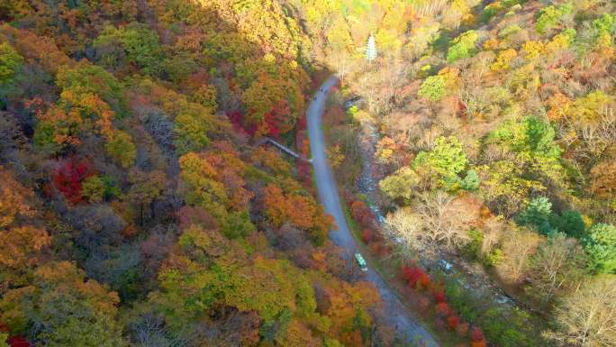 《4K超清》秋天枫叶色彩本溪航拍