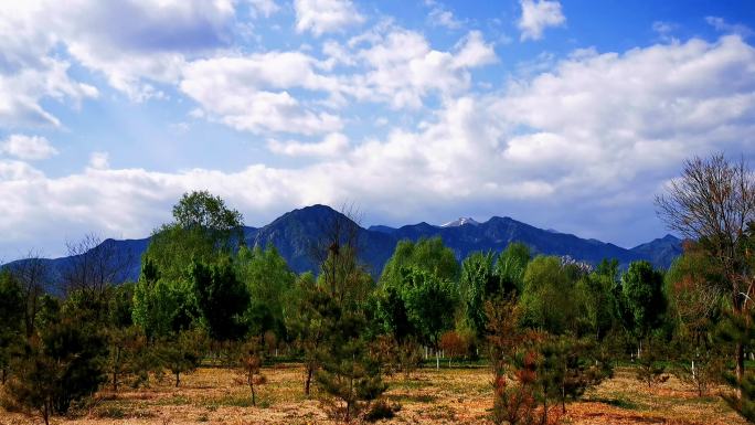 [4K]延时素材.草地树林远山云影