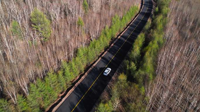 4K航拍汽车在森林公路行驶