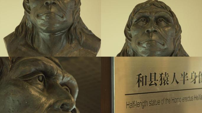 和县猿人半身像雕塑雕像特写A014