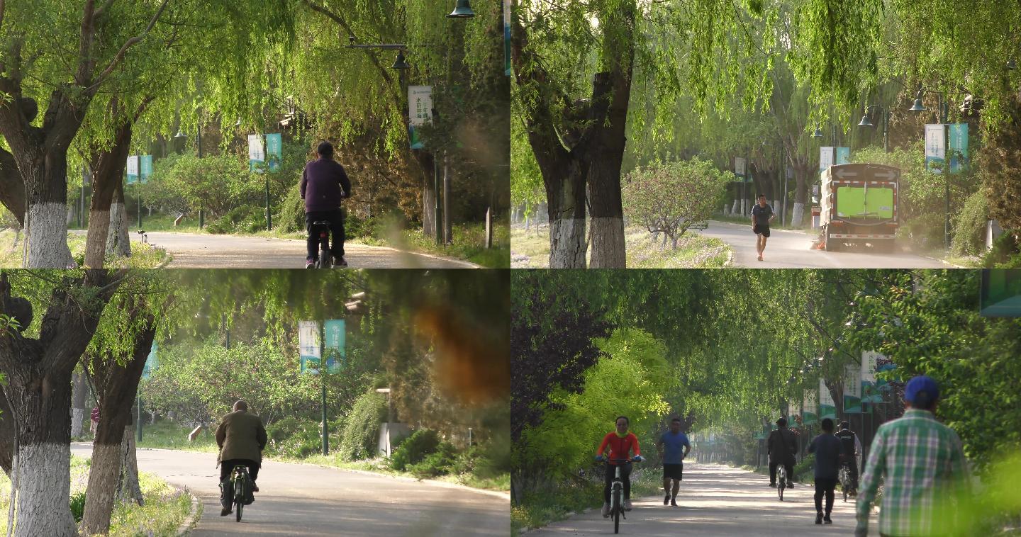 通州运河公园早晨骑行跑步健身锻炼老人生活