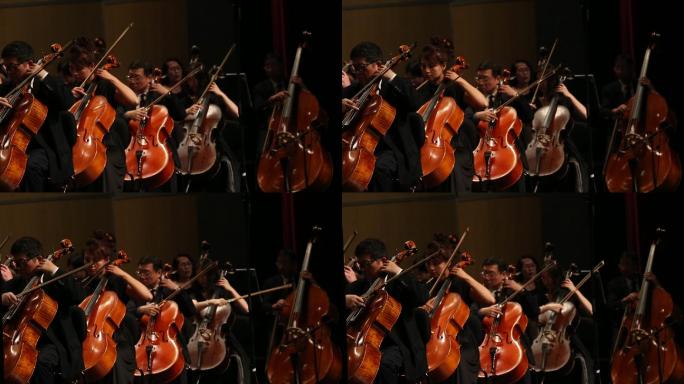 音乐剧院乐团音乐会乐队大提琴演奏实拍素材