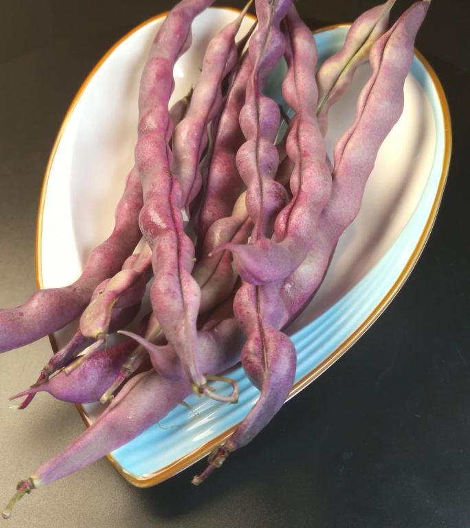 213紫色四季豆豌豆（28）