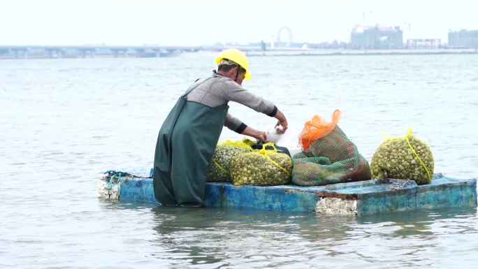 海边渔民生活工作