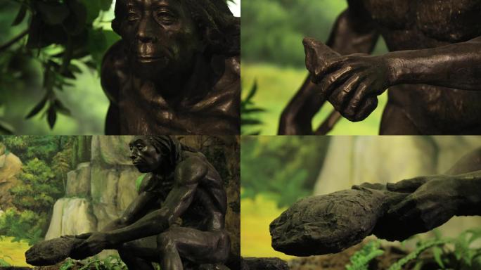 猿人 雕像 蜡像 特写 镜头A014