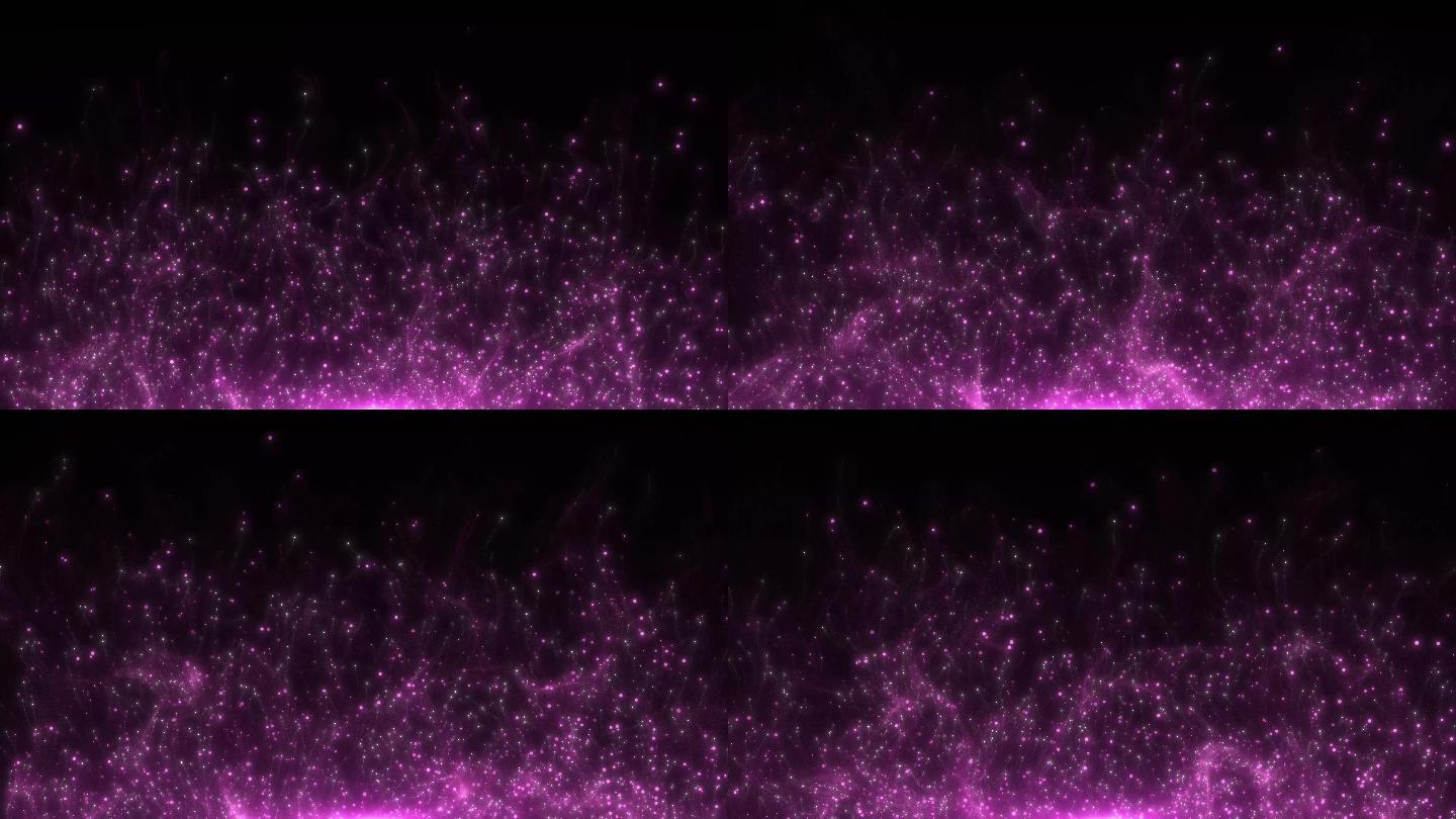 紫粉粒子生长