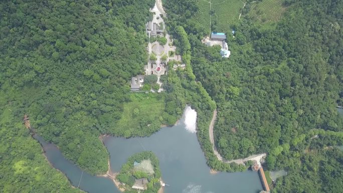 肇庆鼎湖山茶园