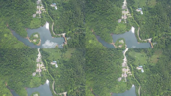 肇庆鼎湖山茶园