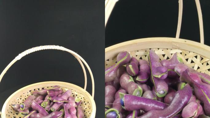 紫色四季豆豌豆（6）