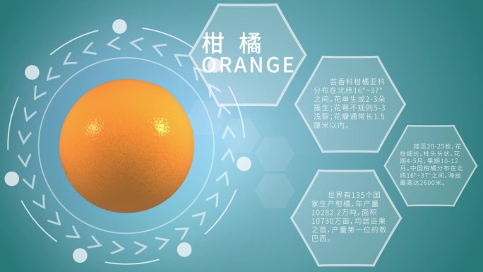 橘子基因组织