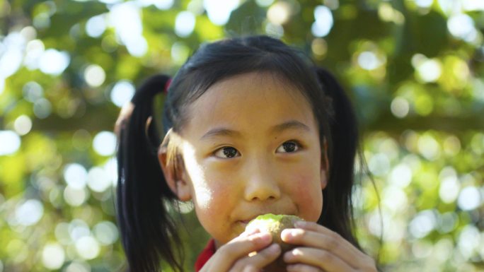 小女孩吃猕猴桃果农笑容4K