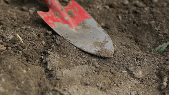 植树种树实拍素材