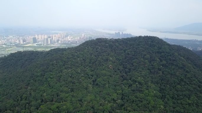 肇庆鼎湖城区