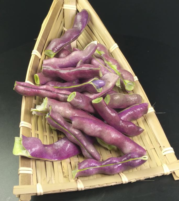 紫色四季豆豌豆（10）