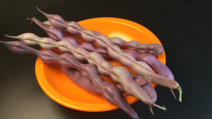 紫色四季豆豌豆（5）
