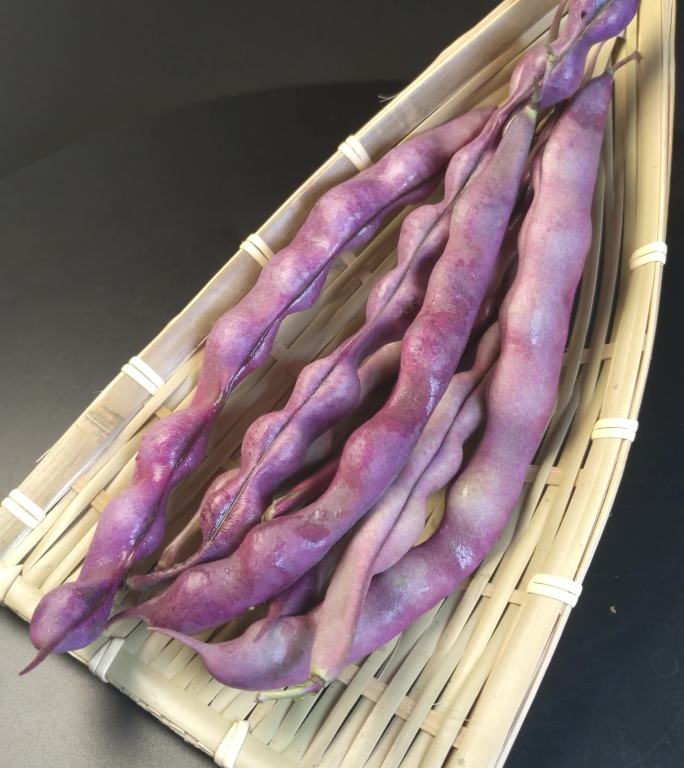 紫色四季豆豌豆（3）