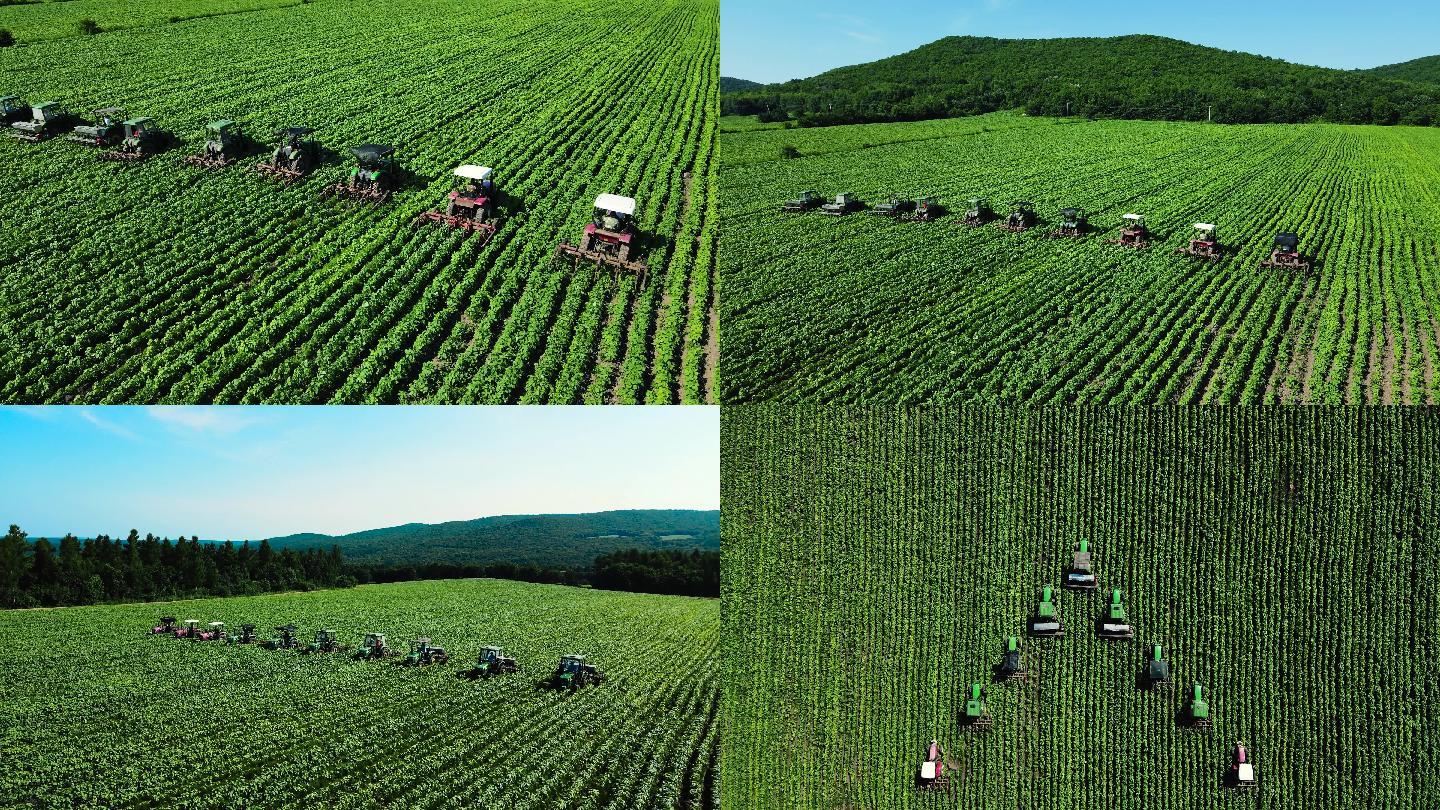 【原创】4K 现代农业 种植