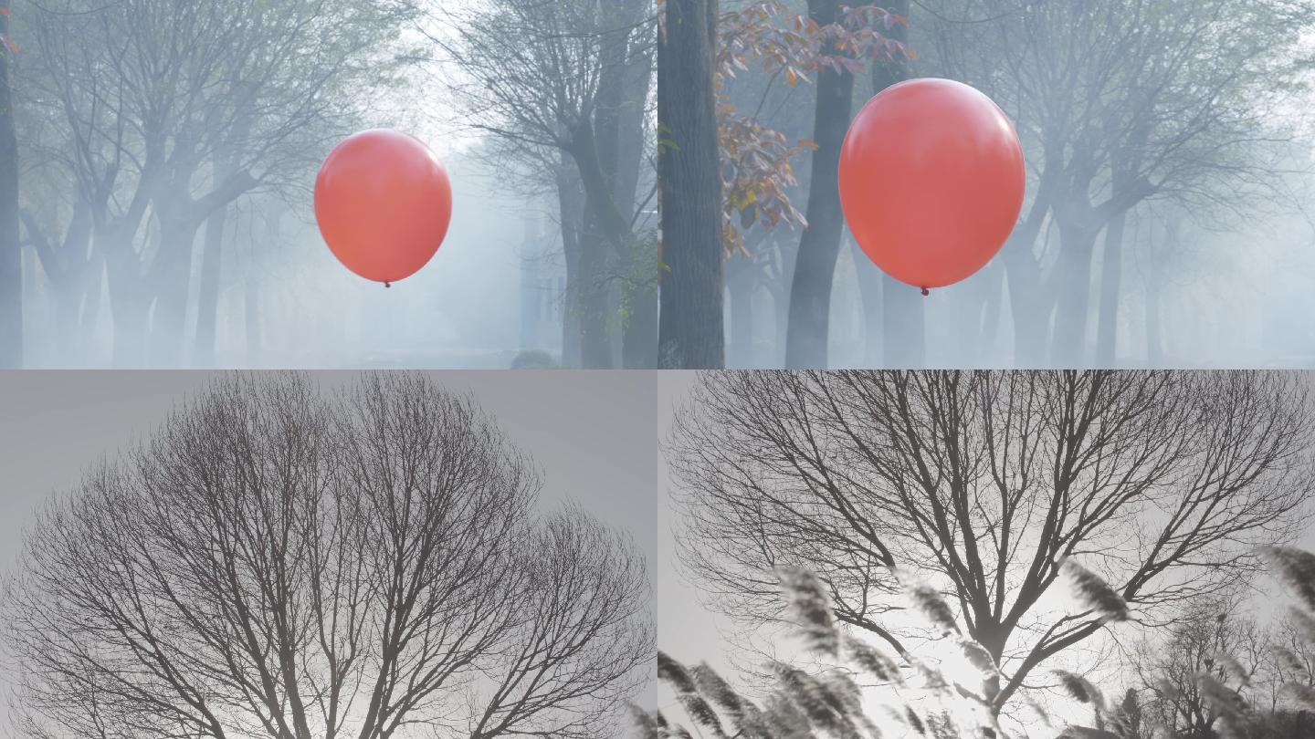 气球  红色气球 气球飞起  天空
